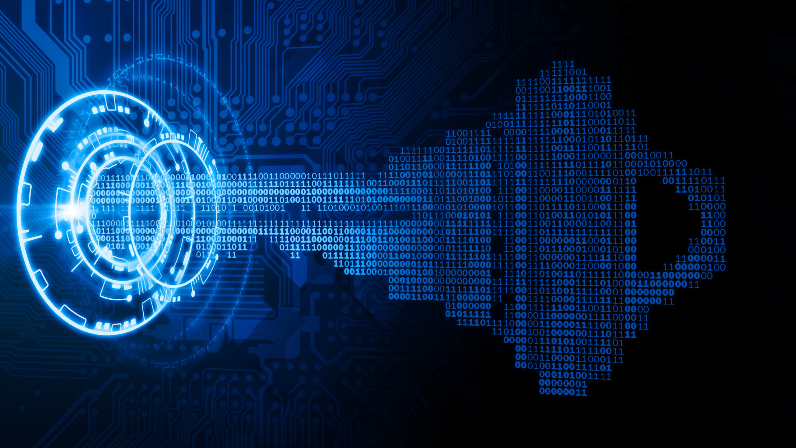 The Evolution Of Hardware Root Of Trust Security IP